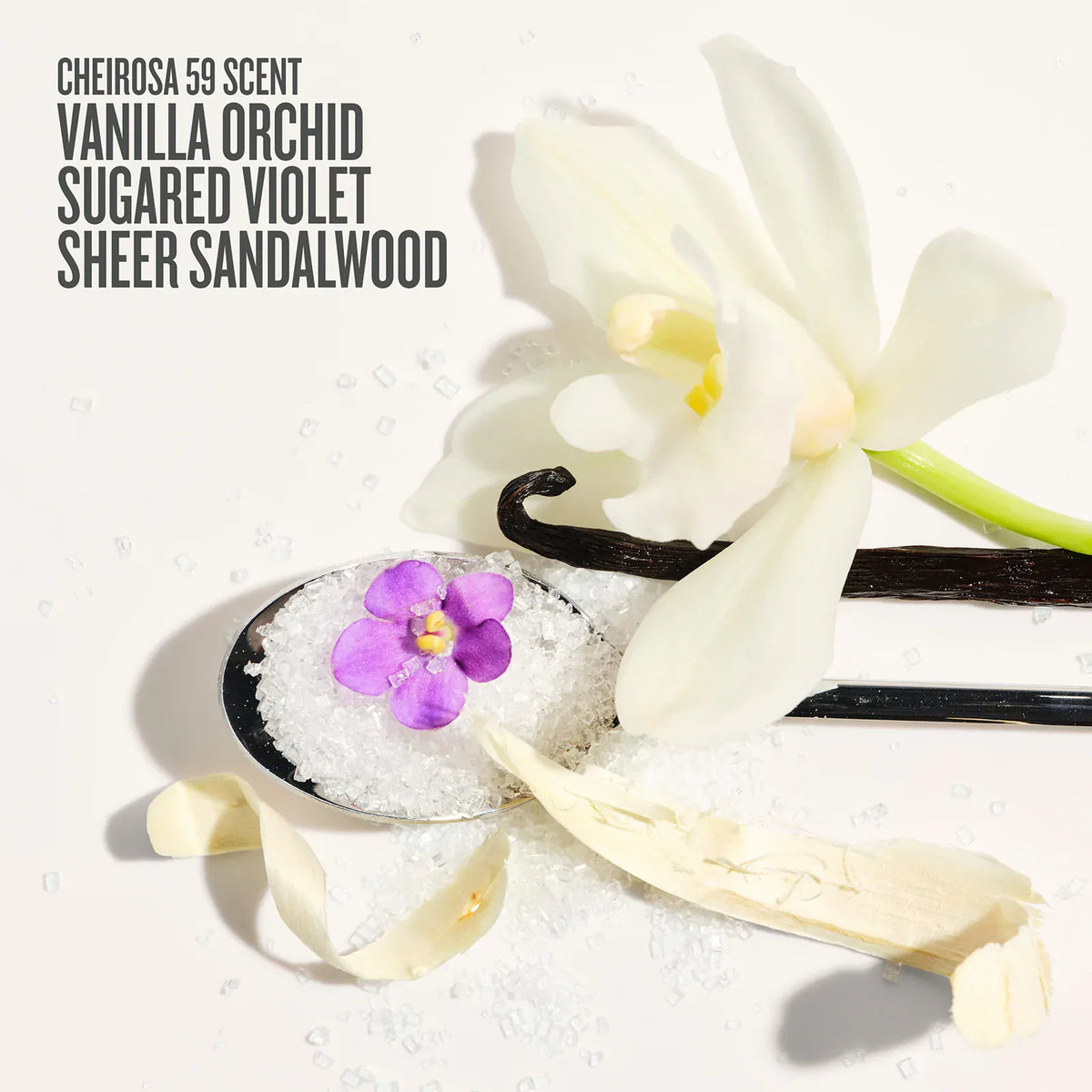 Vanilla orchid, sugared violet, and sheer sandalwood with product name on a white background. 

Cheirosa 59 scent vanilla orchid, sugared violet, sheer sandalwood